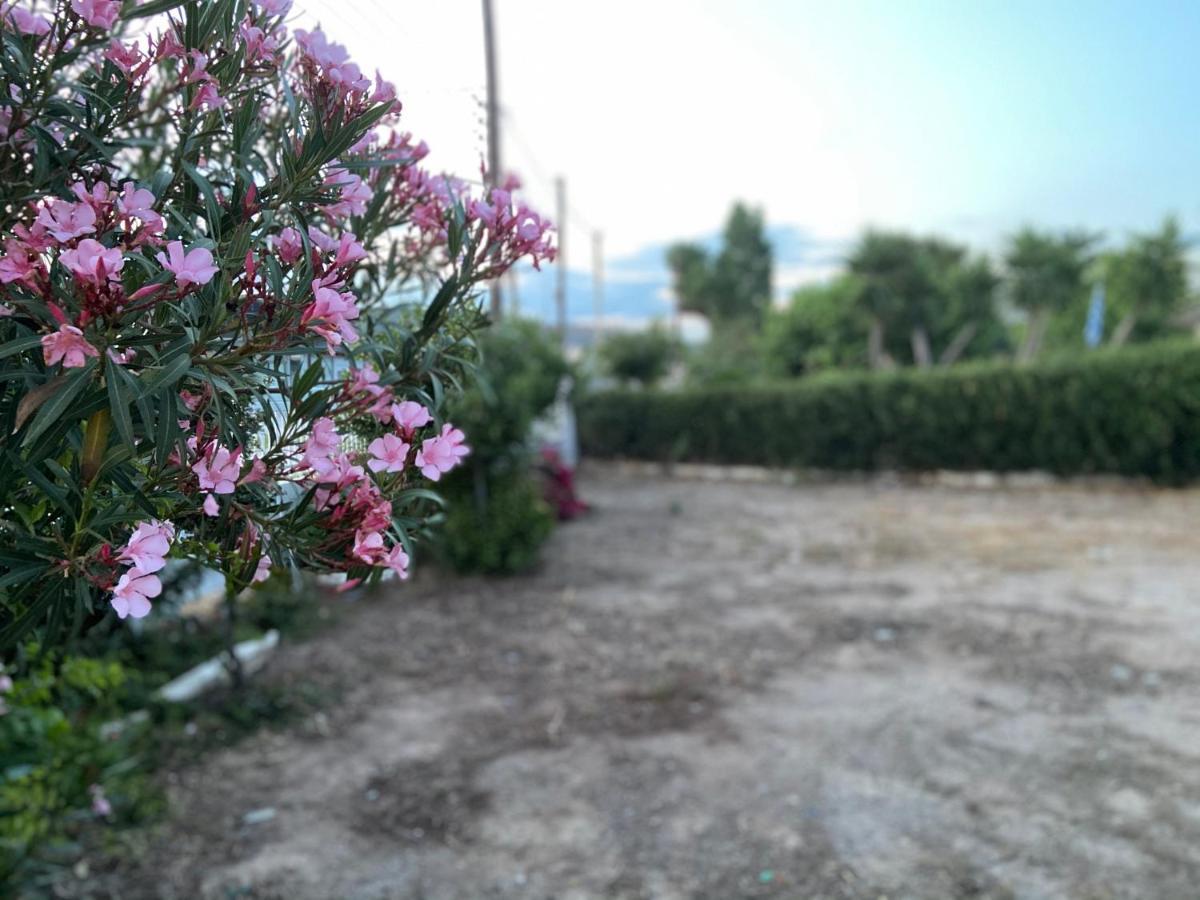 Athens Riviera: 2 Bed / 3' Walk From The Beach Agia Marina  Экстерьер фото